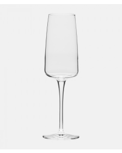 Champagneglass 24 cl Nexo