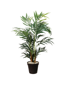 Palme, 110cm m/potte