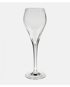 Champagneglass 16 cl Brio