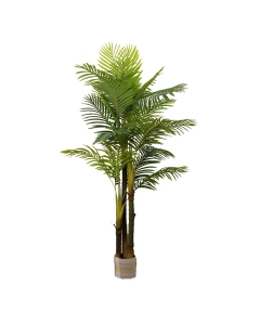 Palme, 190cm m/potte