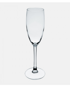 Champagneglass 16 cl Tulipe